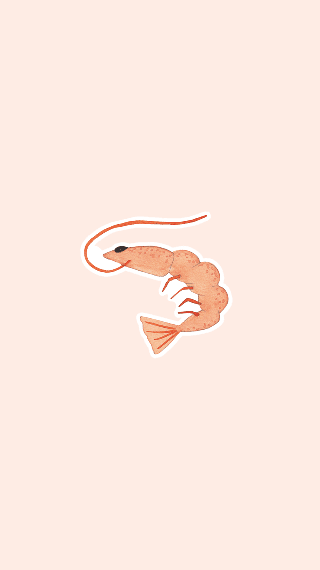 Sticker Crevette – Collection “Cocktails &amp; coups de soleil” – Illustration aquarelle